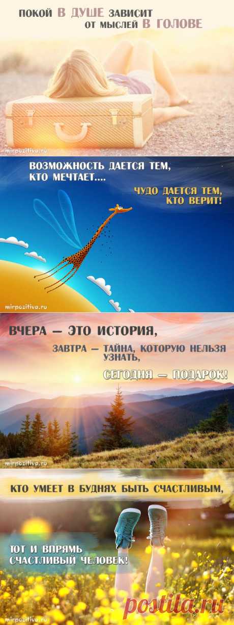 Мудрость в каждой фразе