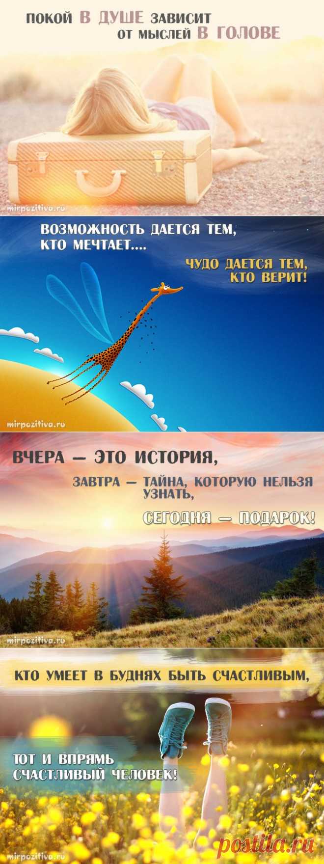 Мудрость в каждой фразе