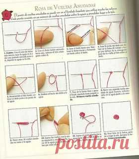Pap florzinha | Flickr - Photo Sharing!