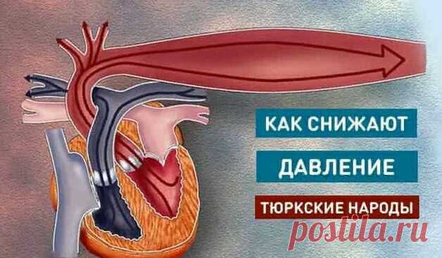 Как снижают давление тюркские народы... - Познавательный сайт ,,1000 мелочей