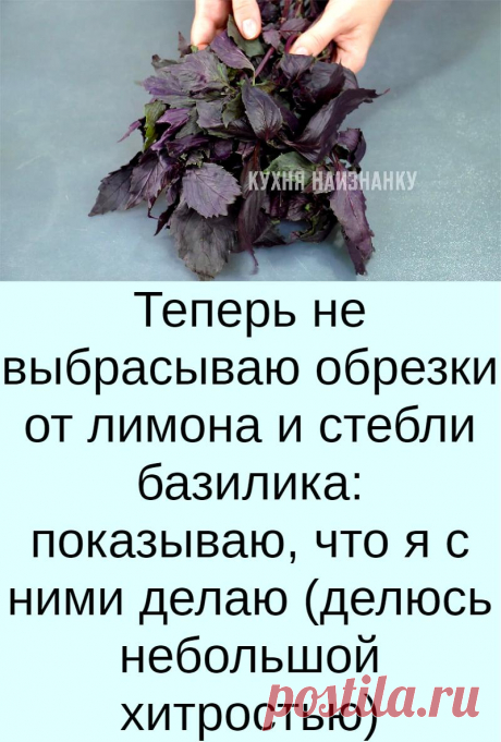 Теперь не выбрасываю обрезки от лимона и стебли базилика: показываю, что я с ними делаю (делюсь небольшой хитростью)