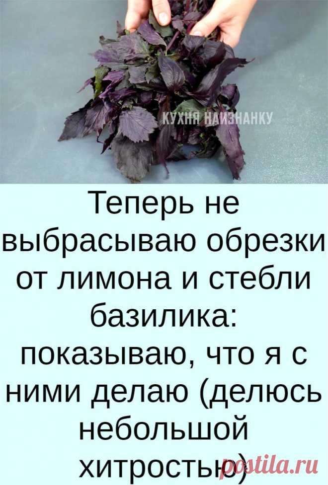 Теперь не выбрасываю обрезки от лимона и стебли базилика: показываю, что я с ними делаю (делюсь небольшой хитростью)