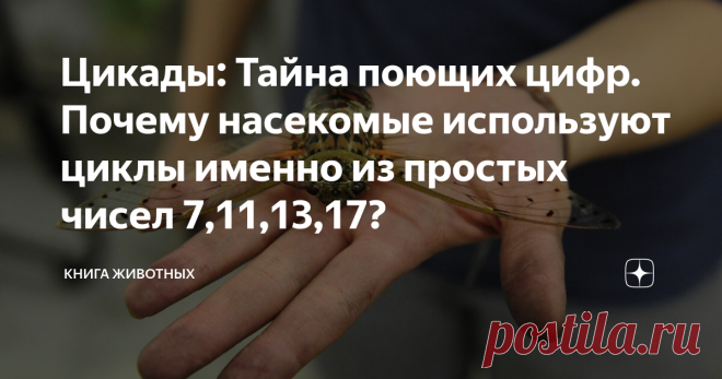 Цикады: Тайна поющих цифр. Почему насекомые используют циклы именно из простых чисел 7,11,13,17? Загадка биологии на стыке конспирологии и нумерологии.