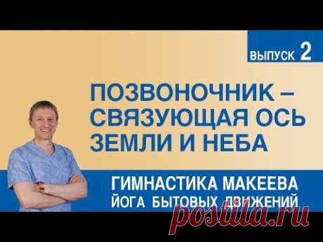Позвоночник –связующая ось Земли и Неба - YouTube