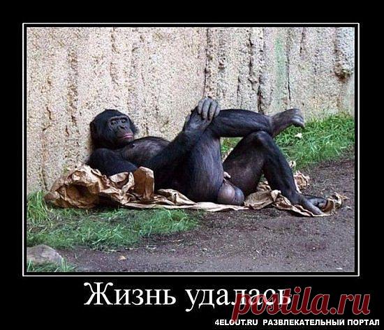 Интересные новости