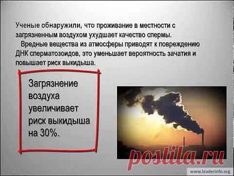 Хлорофилл от компании NSP.