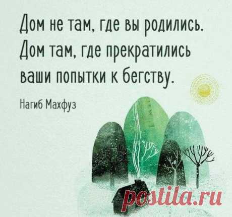 Дом,который построил Нагиб