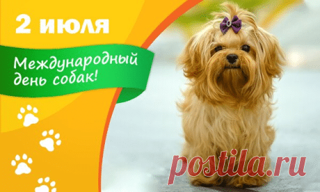 За преданность, за ум и смех, За то, что в доме — радость, смех, Собак сегодня поздравляем, Любви и ласки им желаем! Открытки на Международный день собак!