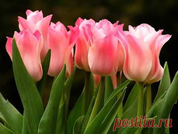 (2) Facebook