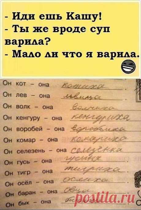 (99) Одноклассники
