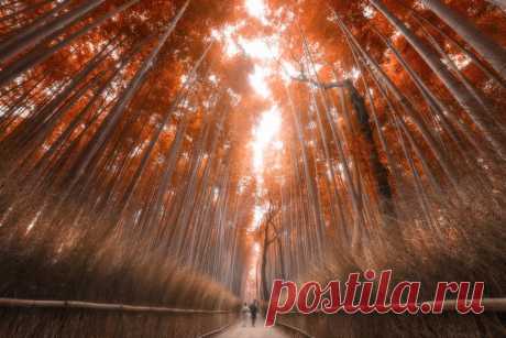 20 фотографий без капли фотошопа