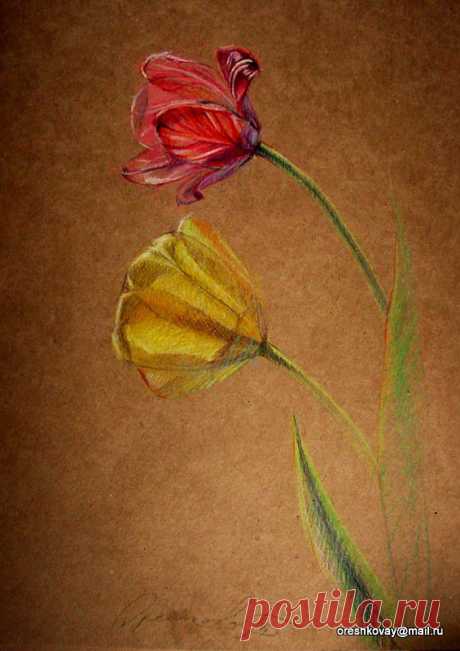 бумага крафт, цв. карандаш, тюльпаны