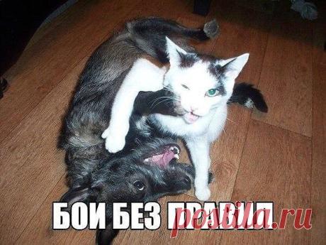 Интересные новости