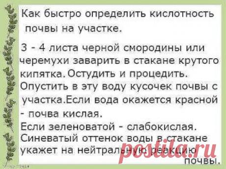 Это интересно...