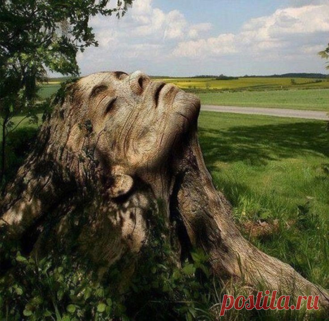 Вырезано из старого дерева!