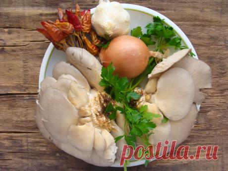 Как вкусно приготовить грибы вешенки (и не только) | Vkusnotissimo