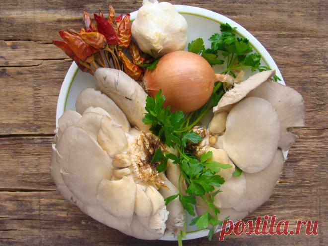 Как вкусно приготовить грибы вешенки (и не только) | Vkusnotissimo