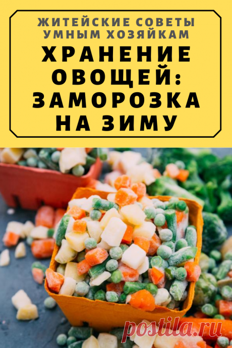 Хранение овощей: Заморозка на зиму | Житейские Советы