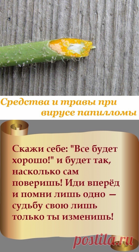 (1) Одноклассники
