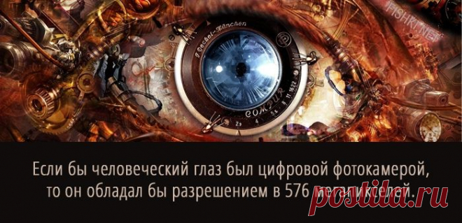 20 суперспособностей, которые есть у каждого (20 фото) | Страна Полезных Советов