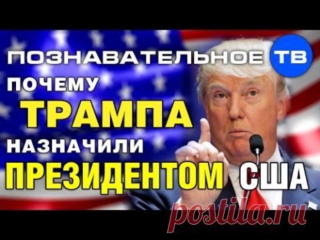 Почему Трампа назначили президентом США? (Познавательное ТВ, Артём Войтенков)