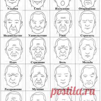 😀😥😋 Осознанный контроль мимики - тест!
.
⭕Богинюшки, приветствую вас!
На каждом занятии тренинга я говорю про осознанный контроль мимики. Посмотрите фото, на нем отлично показаны наши эмоции и морщинки, в каких зонах образуются.
.
⭕Очень часто ваши ежедневные усилия по уходу за лицом, массажные практики и лицевые гимнастики, не дают ожидаемого эффекта. 15 минут в день лицевой гимнастики, массажей - ничто по сравнению с тем временем, которое мы проводим после гимнастики....