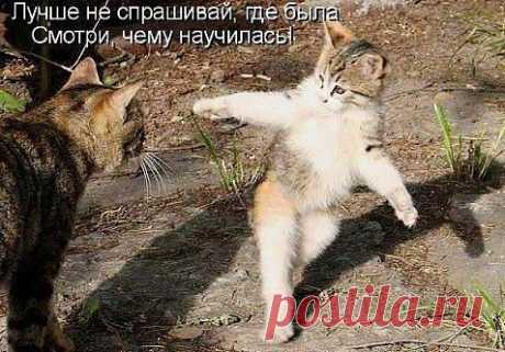 Одноклассники