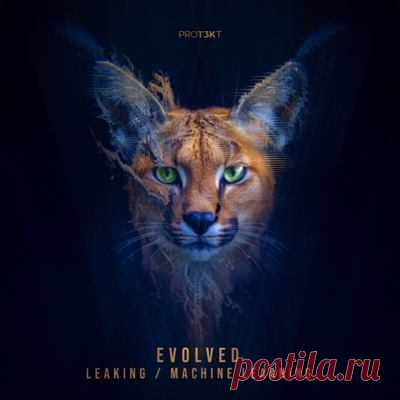 Evolved – Leaking / Machine Learning