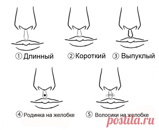 Хотите знать, суждено ли вам стать богатым человеком? | Чёрт побери