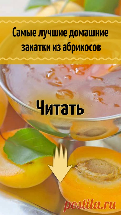 Что приготовить из абрикосов на зиму – самые лучшие домашние закатки