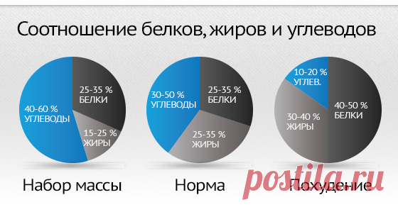 Сколько калорий, белков, жиров и углеводов в день нужно употреблять?
