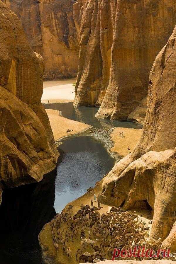 denisnika:
“#Algeria
”