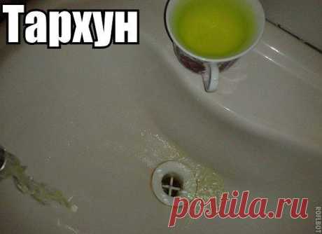 Такое возможно только в России!
