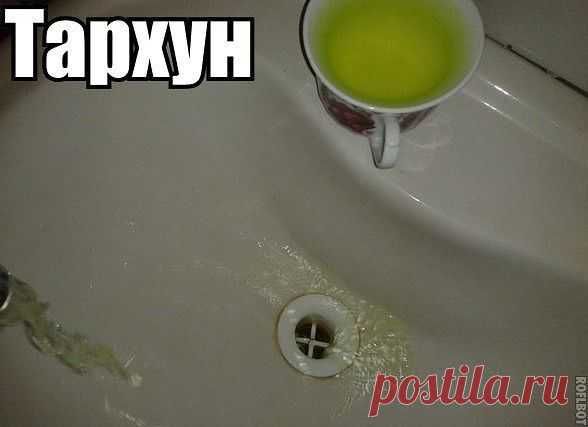 Такое возможно только в России!