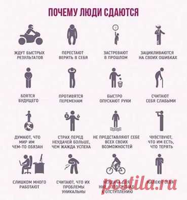 Трансфер Фактор из Европы