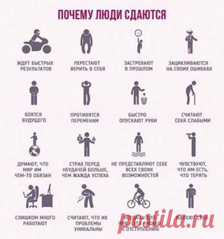 Трансфер Фактор из Европы