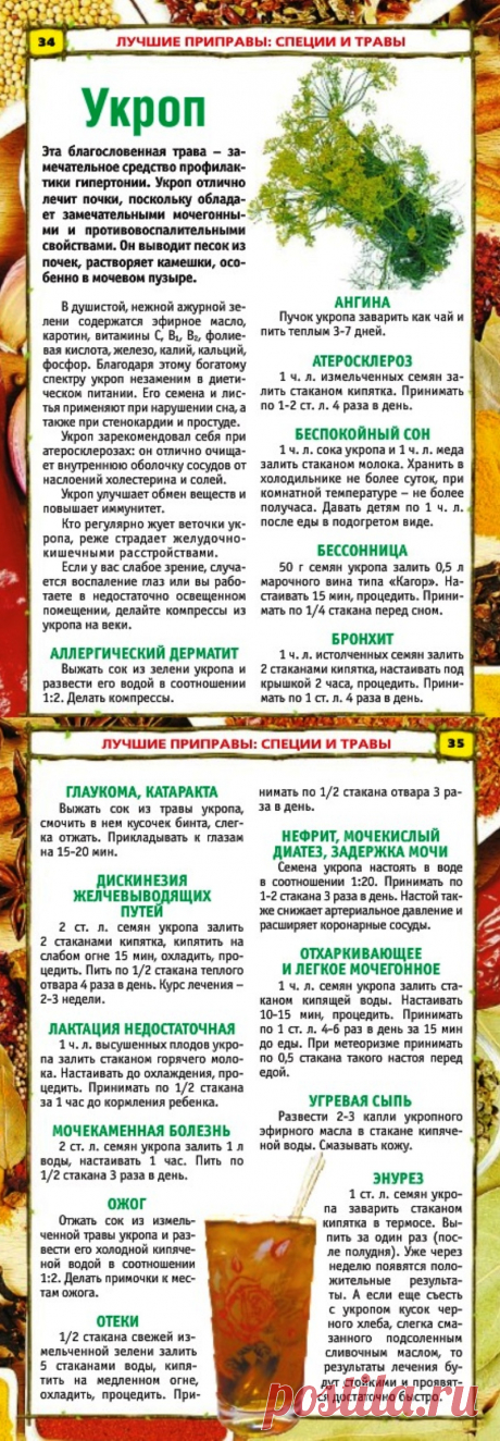 Укроп