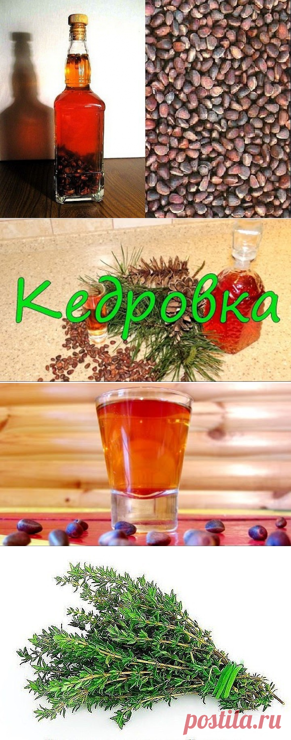 (1) Одноклассники
