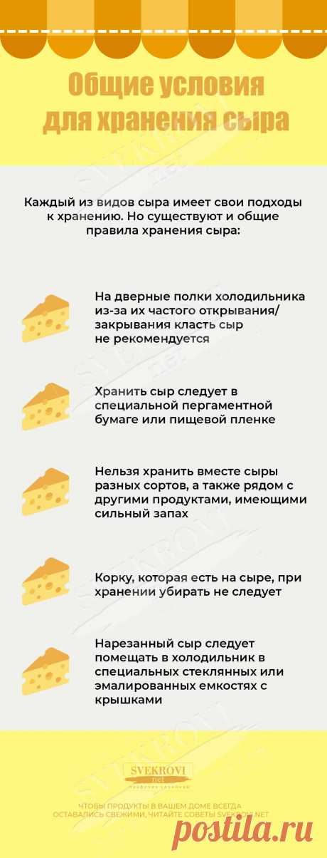 Можно ли хранить СЫР 🧀 в морозилке и как правильно хранится в холодильнике: срок и температура хранения в морозильной камере в домашних условиях разных видов