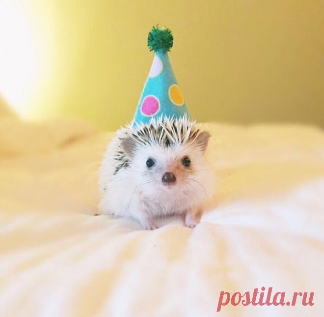 Коридор затмений: