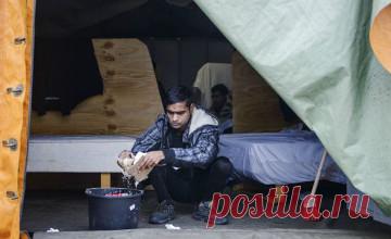 Дания приняла закон об изъятии имущества у мигрантов