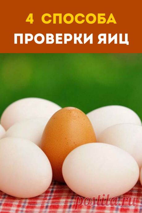 Свежие или нет? 4 способа проверки яиц