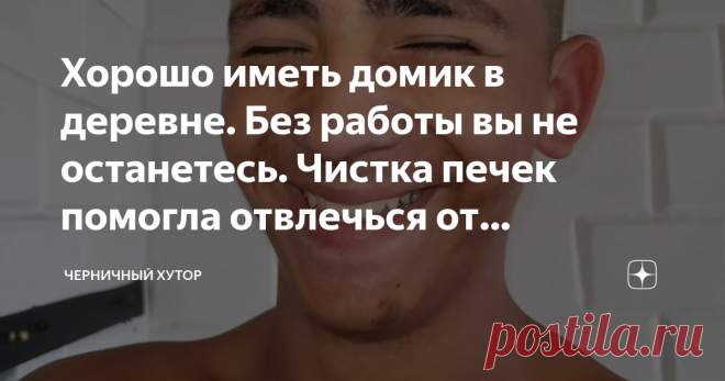 Хорошо иметь домик в деревне. Без работы вы не останетесь. Чистка печек помогла отвлечься от отмостки.