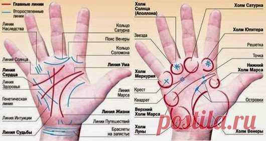 Толкование линий на ладони / Все для женщины