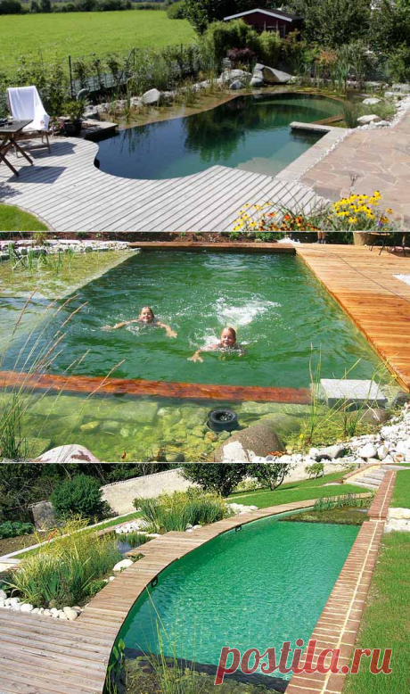 Как сделать пруд своими руками: 100 фото с инструкцией — Дом и Сад