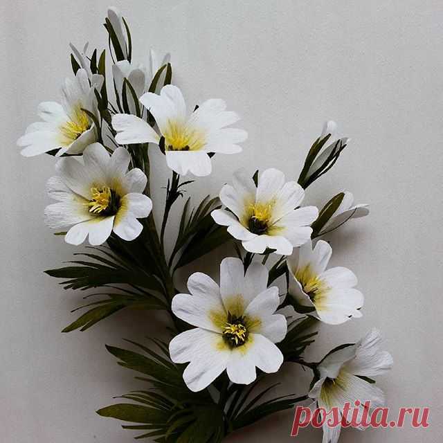 #crepepaperflowers