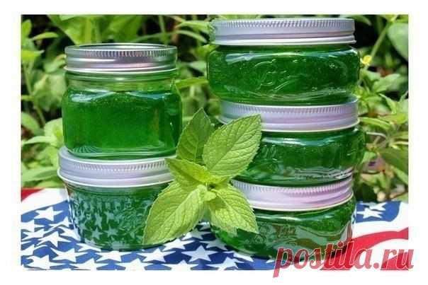 Варенье из мяты - Простые рецепты Овкусе.ру