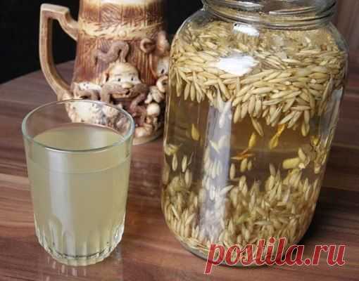 Квас из овса