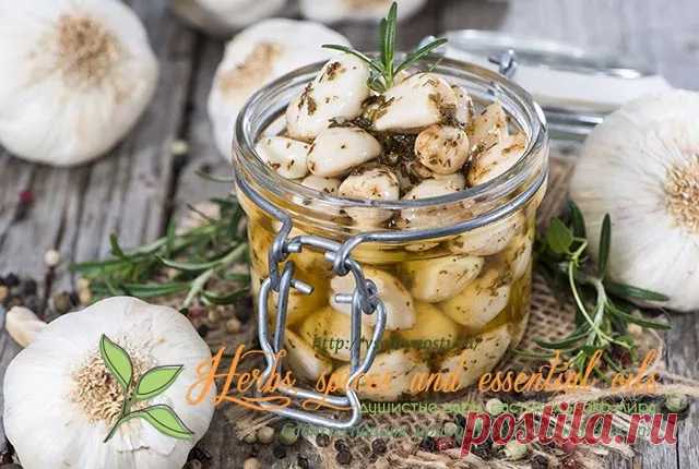 Как приготовить малосольный чеснок - вкусный и полезный рецепт
