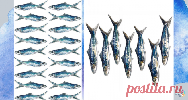 Всем известно, что рыба — это действительно здоровый продукт с высоким содержанием белка и большим количеством незаменимых жирных кислот